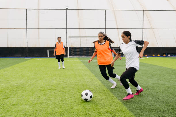 教练弗兰克 教练弗兰克